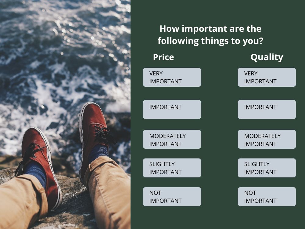 importance importance likert scale question