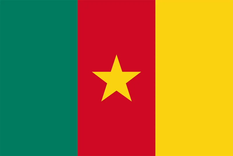 cameroon visa for Bali Indonesia FLAG